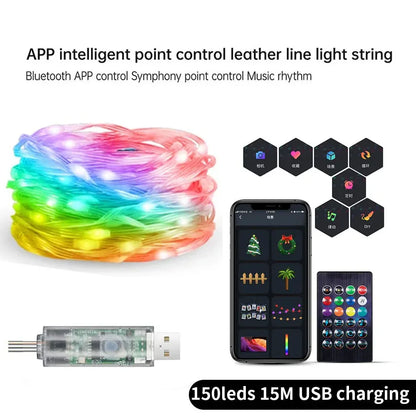 Smart Fairy RGB String Light USB 10M/33FT Waterproof String Light with App Control, Sync to Voice & Music Christmas Tree Decor