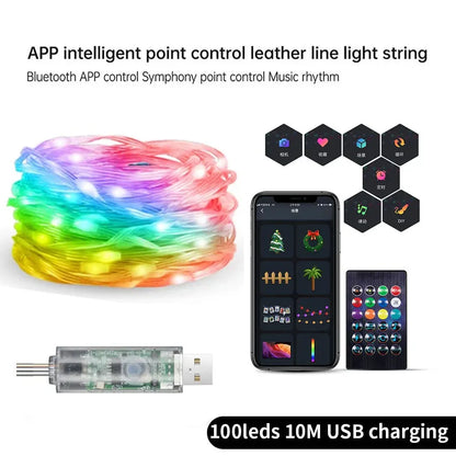Smart Fairy RGB String Light USB 10M/33FT Waterproof String Light with App Control, Sync to Voice & Music Christmas Tree Decor